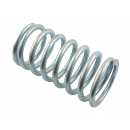 Didelė spyruoklė c 385 80021087