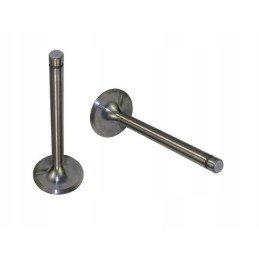 Išmetimo vožtuvas 7340 zetor 52020507