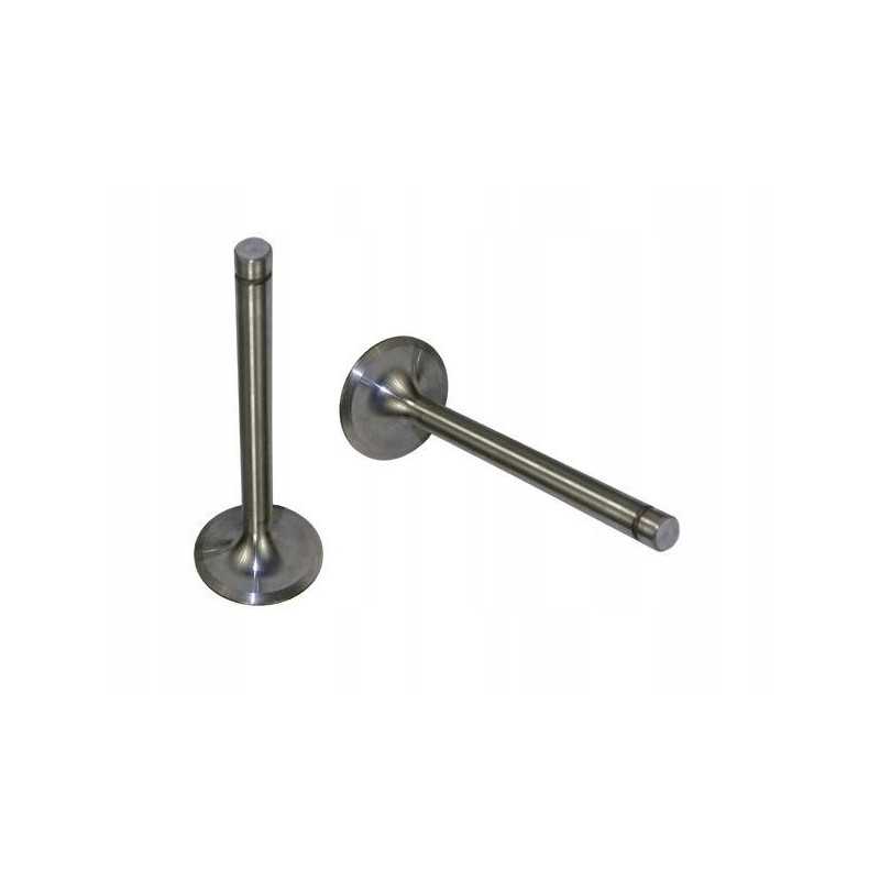 Išmetimo vožtuvas 7340 zetor 52020507