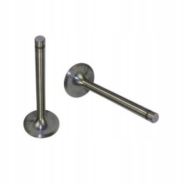 Išmetimo vožtuvas 7340 zetor 52020507