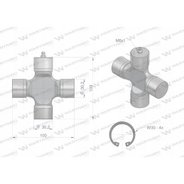 Plataus kampo ritininis kryžminis galvutė 30 2x100 serija 6 waryn