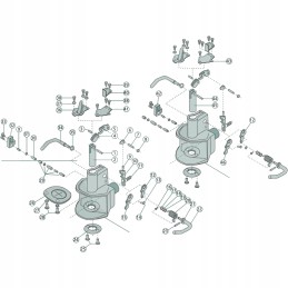 Rankena 77702480350 scharmuller