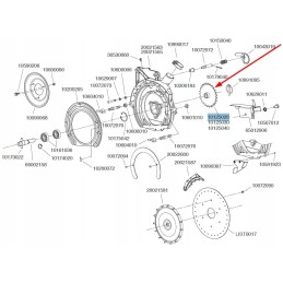 10125028 krumpliaratis 27 dantukai