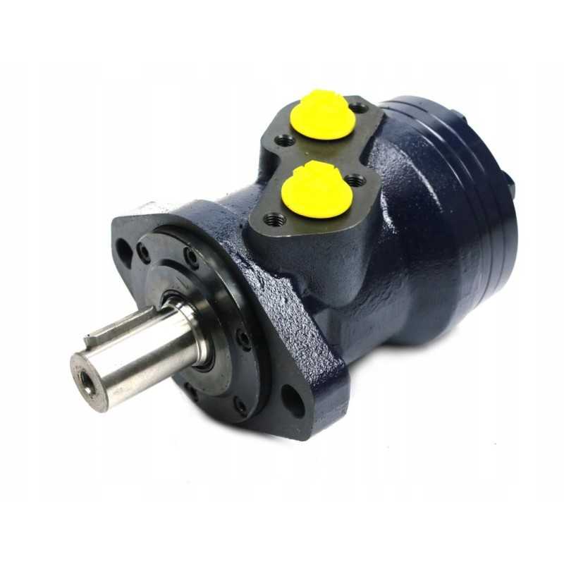 Hidraulinis variklis 40 cm3 Warynski