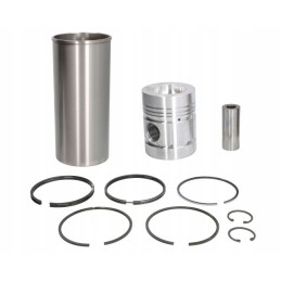 Stūmoklio komplektas su įvore 043 79 90 Renault