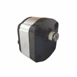 Hidraulinis siurblys fiat 5135305 motorra fiat režimas