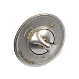 Termostatas mf 2485c022