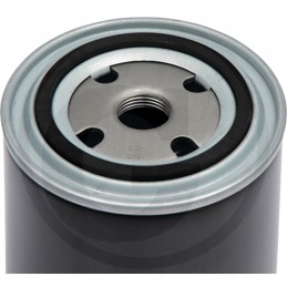 Alyvos filtras 2451017030 m5101