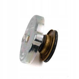 Radiatoriaus dangtelis Zetor Proxima 53013913 originalus