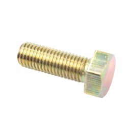 Variklio sandariklio dangtelio varžtas 0746255 353518