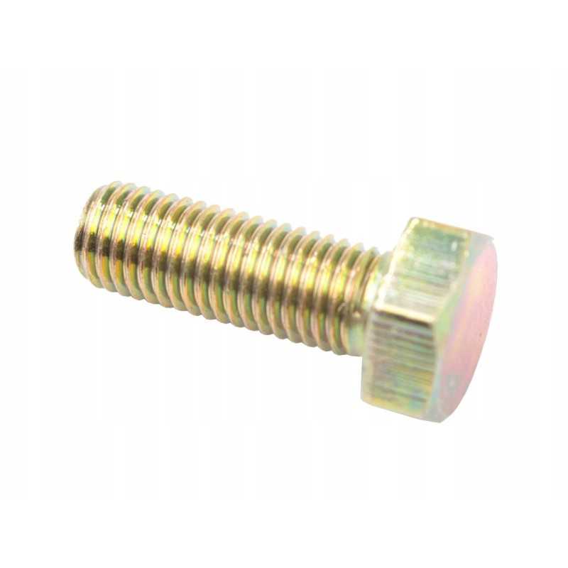 Variklio sandariklio dangtelio varžtas 0746255 353518