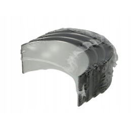 Mahle švaistiklio guoliai 454 ps 20109 000