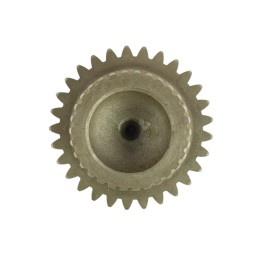 Varomasis ratas su 29 80184001