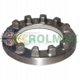 Vainikas 25 365 2 365 2