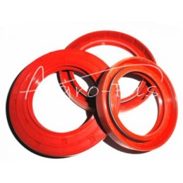 Troškinantis 25x35x7 silikonas