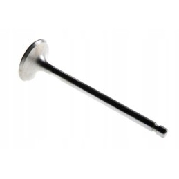 Siurbimo vožtuvas c 360 50505051