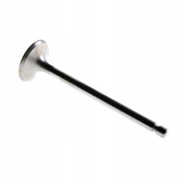 Siurbimo vožtuvas c 360 50505051