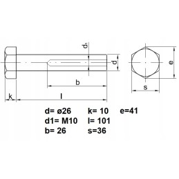 Kaiščio koto varžto vidinis sriegis m10 26x101mm