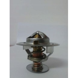 Thermotec termostatas d2jd001tt