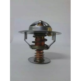 Thermotec termostatas d2ca002tt