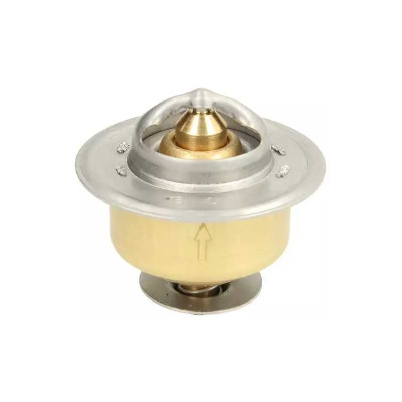 Thermotec termostatas d2jd009tt