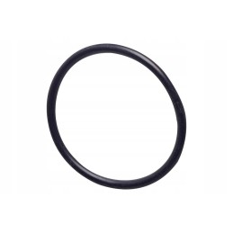 X542203081000n kuro siurblio sandariklis