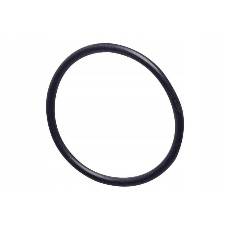 X542203081000n kuro siurblio sandariklis