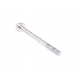 4241689m1 įpurškimo siurblio varžtas