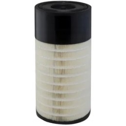 Zew Donaldson oro filtro įdėklas P627763