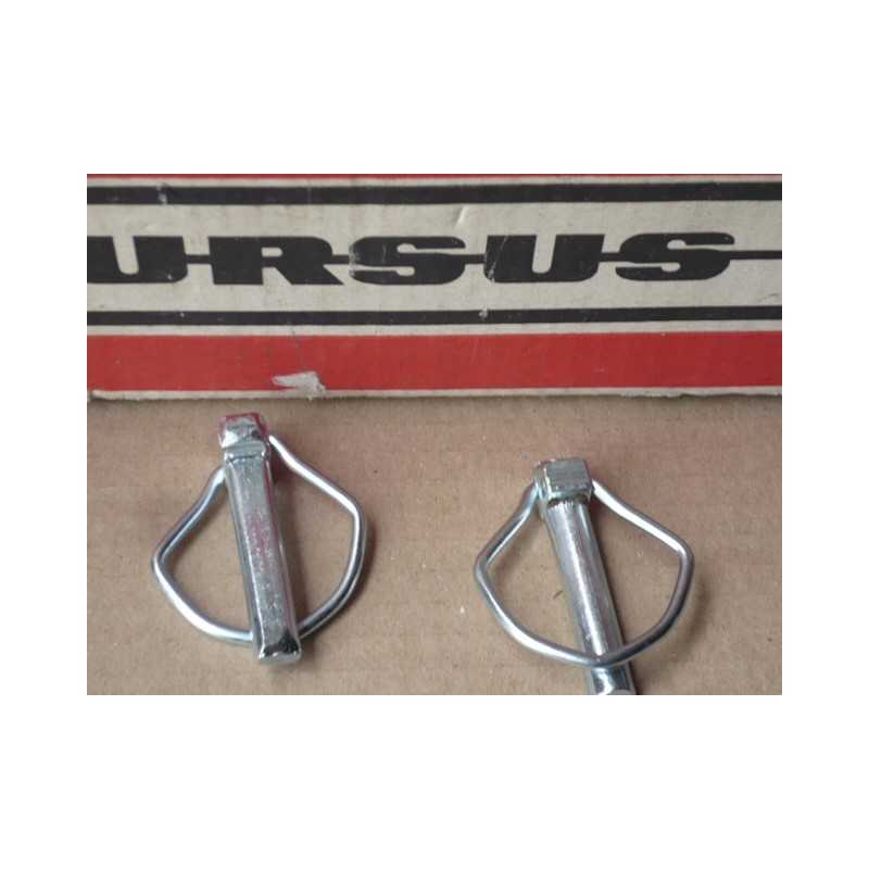 Žemės ūkio kaištis 10x44 5mm sijos 42370320 2vnt