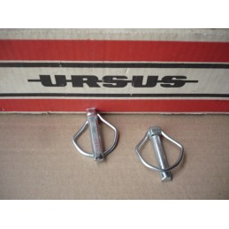 Žemės ūkio kaištis 10x44 5mm sijos 42370320 2vnt