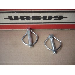 Žemės ūkio kaištis 10x44 5mm sijos 42370320 2vnt
