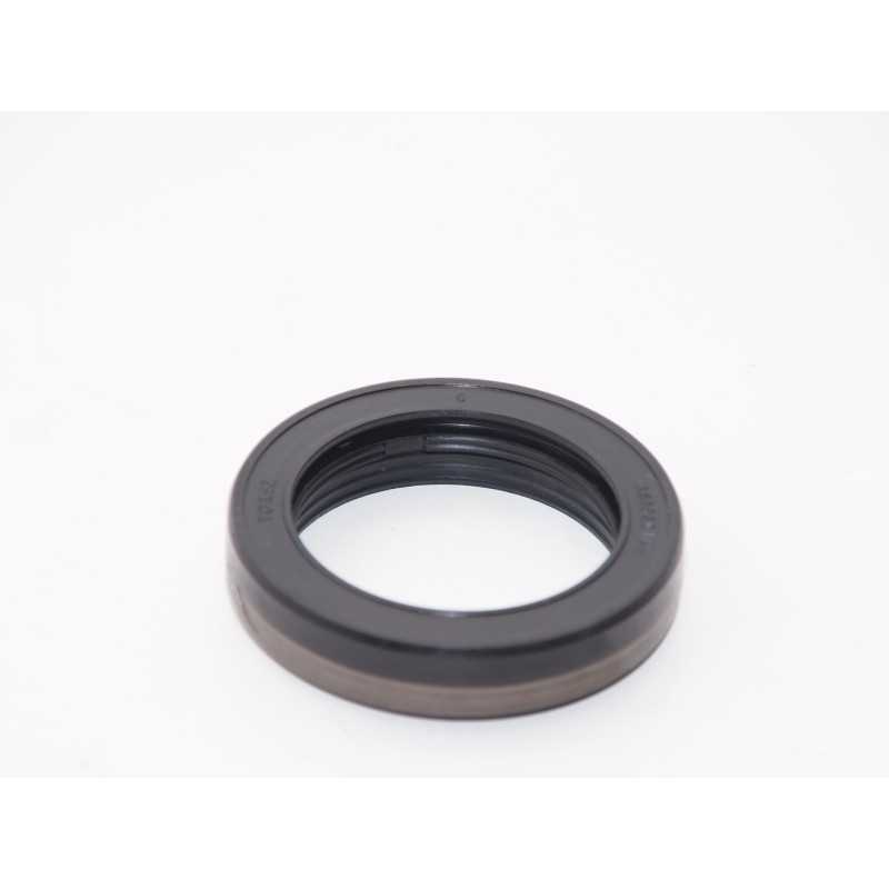 Kaitinamasis GTV sandariklis 56x79 65x18 massey