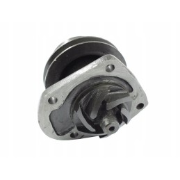 Vandens siurblys 4 cilindrai 1 diržas žemas c 385 80017999