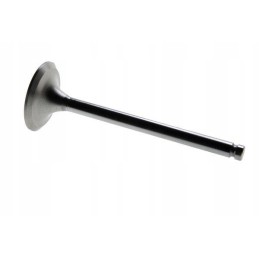 Siurbimo vožtuvas mf3 31431681