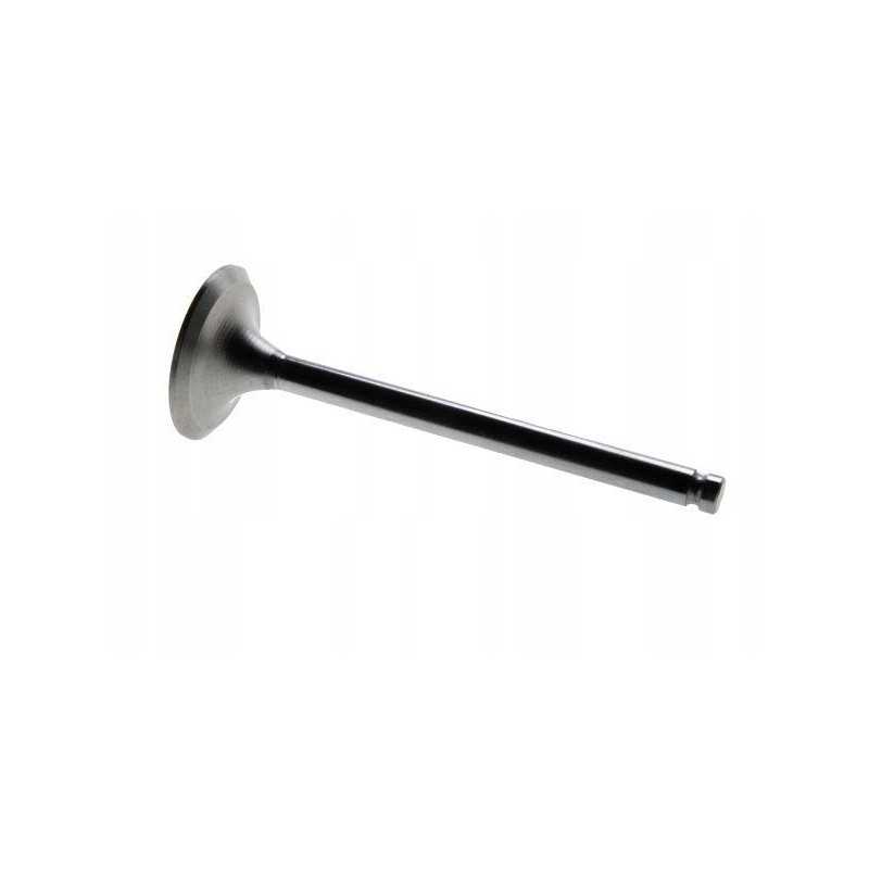 Siurbimo vožtuvas mf3 31431681