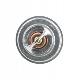 Massey Ferguson termostatas 4224639m1 Jage S