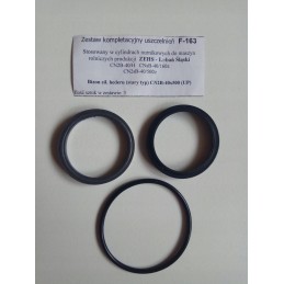 Hedar variklio sandarikliai, seno tipo Bizon F 163