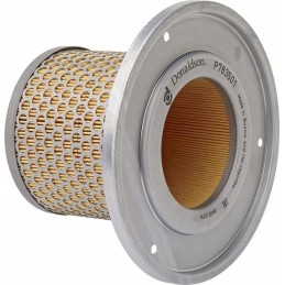 Vidinis oro filtras Donaldson P783501 Donald