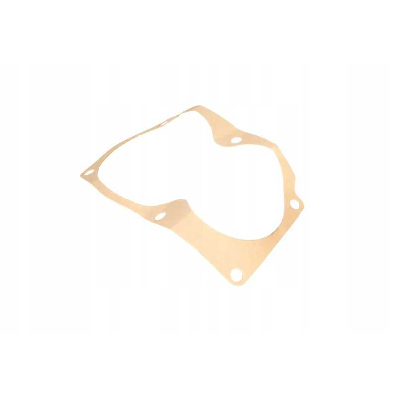 613758 0 pavaros sandariklis