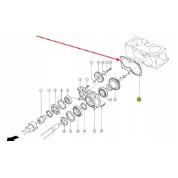 613758 0 pavaros sandariklis