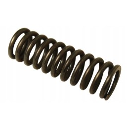 Sankabos slėgio spyruoklė wladimirec t 25 2521103a