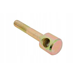 Tb3c551010064 m10 galinės pakabos kaištis