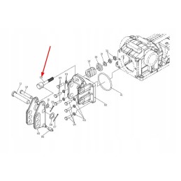 Tb3c551010064 m10 galinės pakabos kaištis