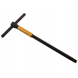 T veržliaraktis su torx suktuku T55 Warynski WMK156