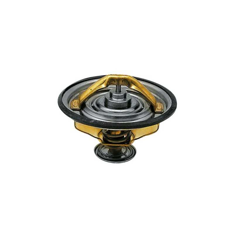 Fendt Farmer Favorit termostatas G199204010020