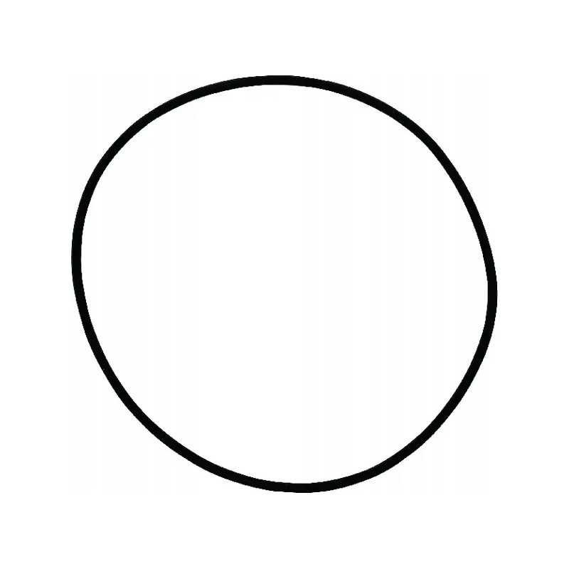 O-žiedo sandariklis