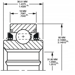 Rutulinis guolis w208pp21
