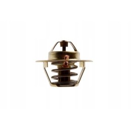 Termostatas mf3 2485c022