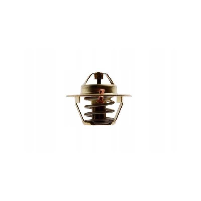 Termostatas mf3 2485c022